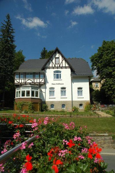 Ferienwohnung In Villa Bad Elster Eksteriør billede
