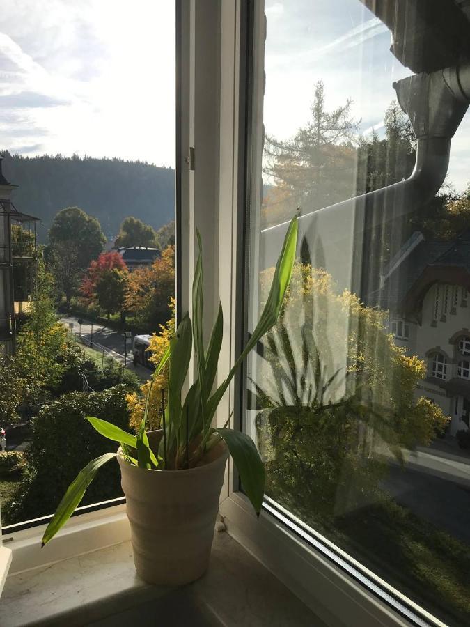 Ferienwohnung In Villa Bad Elster Eksteriør billede